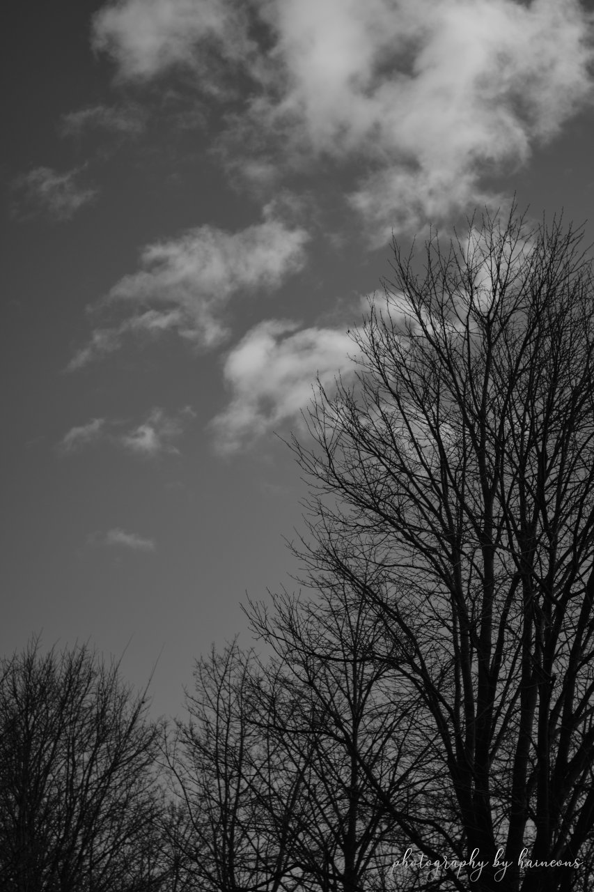 2019/12/24 monochrome