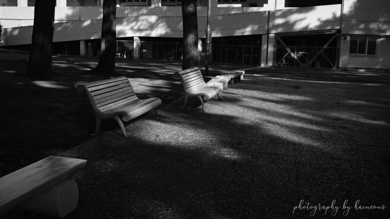 2021/02/16 monochrome